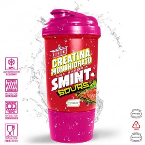 SHAKER SMINT FRESA 500 ML