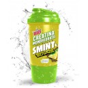 SHAKER SMINT LIMON 500 ML