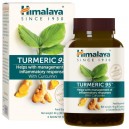 TURMERIC 95 60 CAPS