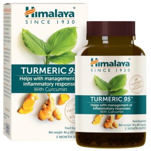 TURMERIC 95 60 CAPS