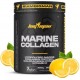 PEPTAN MARINE COLLAGEN 300 GR
