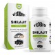 SHILAJIT SHILAZEN 60 CAPS