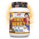 ONLY WHEY ONE PIECE CHOCO ONE 1 KG
