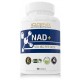 NAD+ 500 MG
