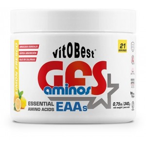 GFS AMINOS 340 GR