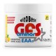 GFS AMINOS 340 GR