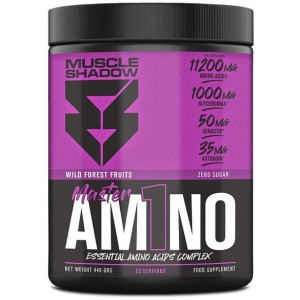 MASTER AMINO 440 GR