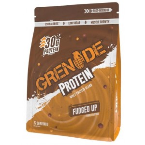 WHEY PROTEIN BLEND 480 GR