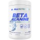 BETA ALANINE ENDURANCE MAX 500 GR