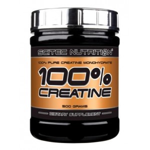 100% CREATINE 100 GR