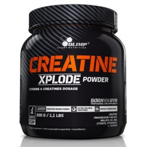 CREATINE XPLODE POWDER 500 GR