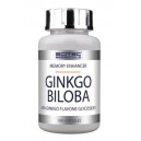 GINKGO BILOBA 100 COMP.