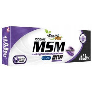 MSM 1000 MG 120 CAPS