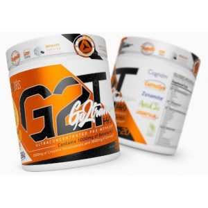 G2T GO2TRAIN PRO 20 SERV