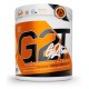 G2T GO2TRAIN XT 30 SERV