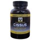CISSUS 120 CAPS