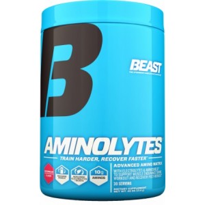 AMINOLYTES 30 SERV