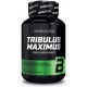 TRIBULUS MAXIMUS 90 TABS