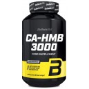 CA-HMB 3000 200 GR (CAD 5/22)