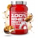 100% WHEY PROTEIN PROFESSIONAL 920 GR