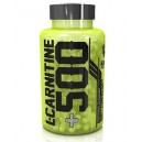 L-CARNITINA +500 500 CAPS