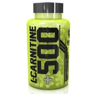 L-CARNITINA +500 500 CAPS