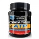 CREATINA ATP 500 GR