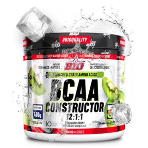 BCAA CONSTRUCTOR 12:1:1 400 GR