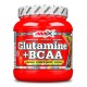 GLUTAMINE + BCAA 530 GR
