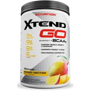 XTEND GO 30 SERV