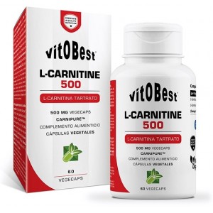 L-CARNITINE 500 60 CAPS