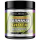 TERMINAL SHOCK 30 SERV