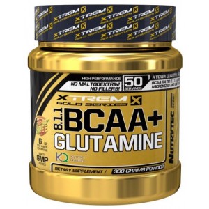 BCAA 8:1:1 + GLUTAMINE 300 GR