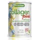 COLLAGEN PLUS CON PEPTAN 350 GR
