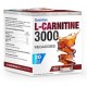 L-CARNITINE 3000 20 VIALES