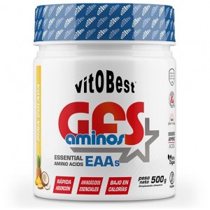 GFS AMINOS 500 GR