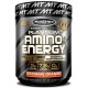 PLATINUM AMINO ENERGY 30 SERV