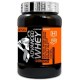 ADVANCED WHEY 920 GR