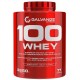 100 WHEY 2,28 KG