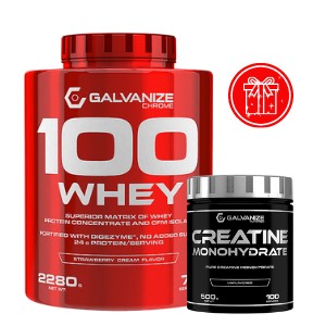 100 WHEY 2,28 KG