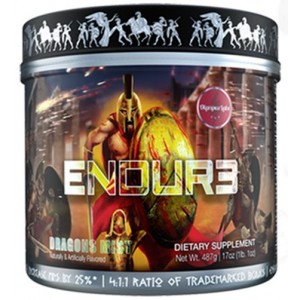 ENDUR3 453 GR