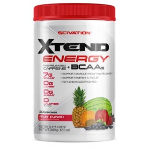 XTEND ENERGY 30 SERV