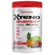 XTEND ENERGY 30 SERV