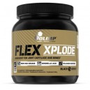 FLEX XPLODE 504 GR
