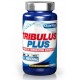 TRIBULUS 60 CAPS