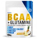 BCAA + GLUTAMINE 500 GR