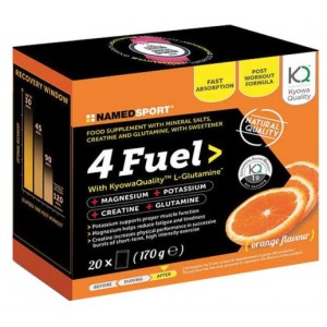 4FUEL 20 SERV