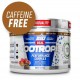 REAL NOOTROPIC SIN CAFEINA 30 SERV