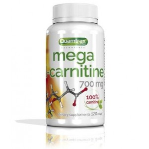 MEGA L CARNITINA 120 CAPS