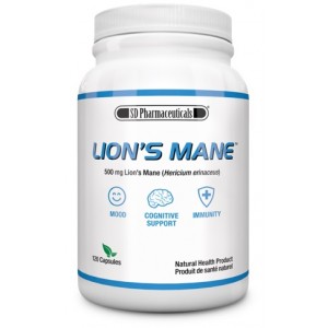 LIONS MANE 500 MG 120 CAPS